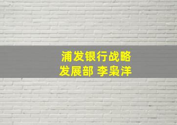 浦发银行战略发展部 李枭洋